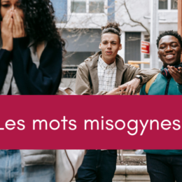 De l'importance de ne pas emplyer des mots misogynes