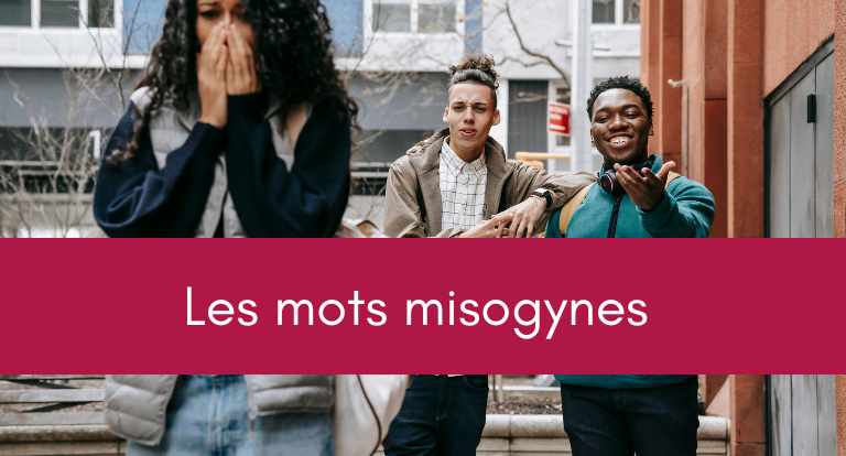 De l'importance de ne pas emplyer des mots misogynes